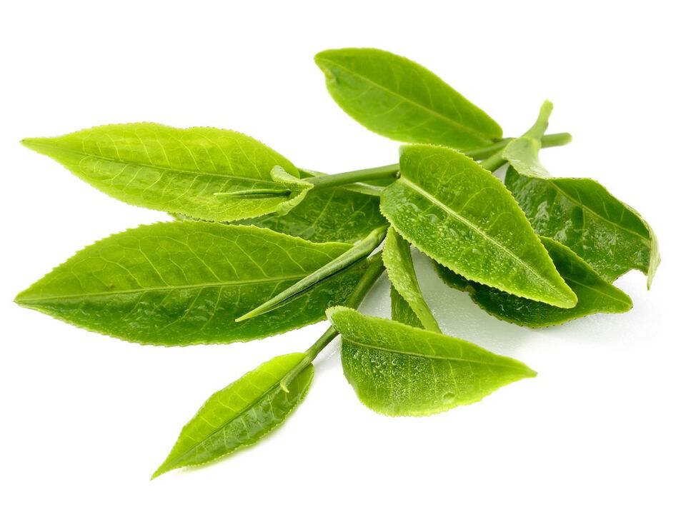 zelený čaj v Keto Matcha